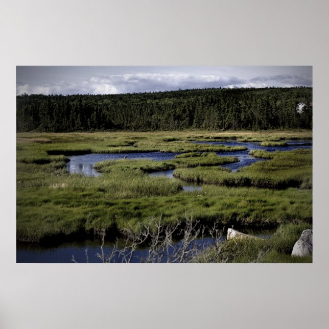 Fields and Streams fine art canvas print (Front)