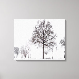 Fields Around Scalenghe Piedmont, Italy Canvas Print