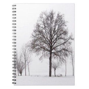 Fields Around Scalenghe   Piedmont, Italy Notebook