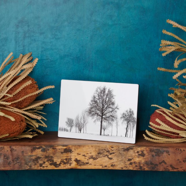 Fields Around Scalenghe | Piedmont, Italy Plaque (Side)