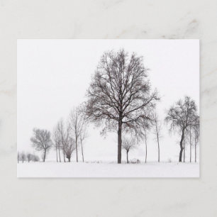 Fields Around Scalenghe Piedmont, Italy Postcard