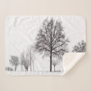 Fields Around Scalenghe   Piedmont, Italy Sherpa Blanket