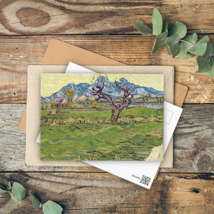 Fields near the Alpilles Vincent van Gogh  Postcard