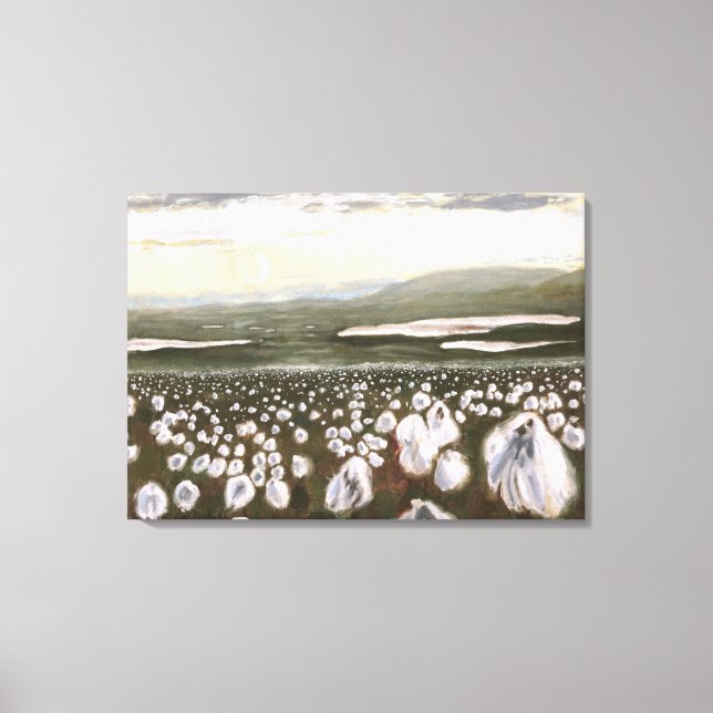 Fields of Arctic Cotton: Canvas Print Uncropped (Front)