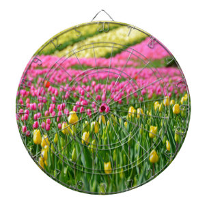 Fields of Colors Dartboard