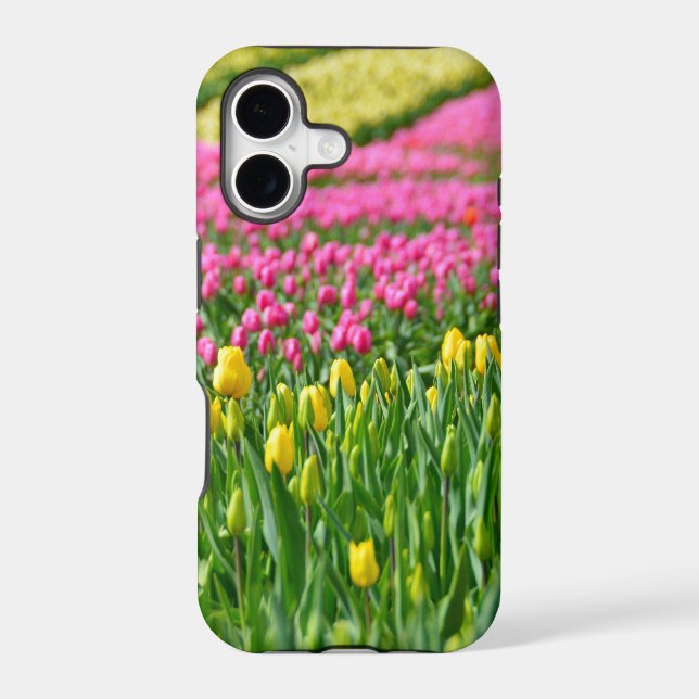 Fields of Colours (Back)