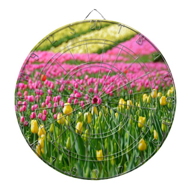 Fields of Colours Dartboard (Front)