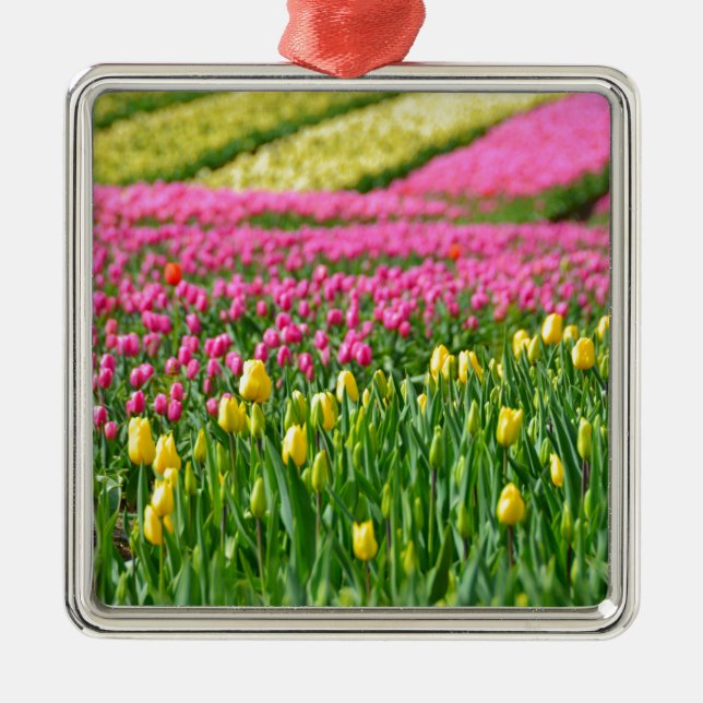 Fields of Colours Metal Tree Decoration (Front)