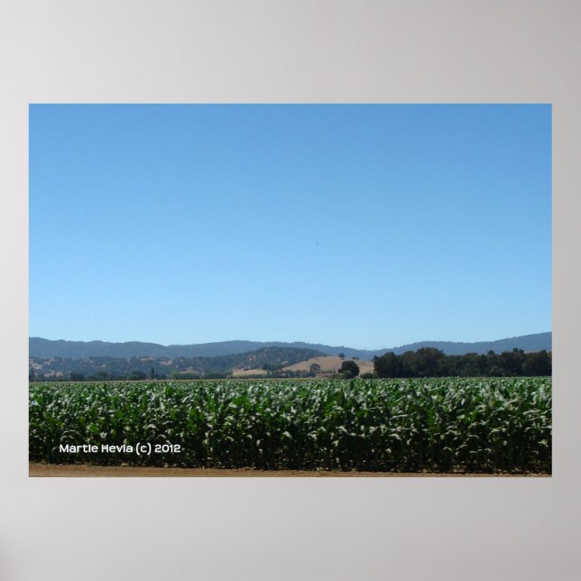 Fields of Corn Poster (Front)