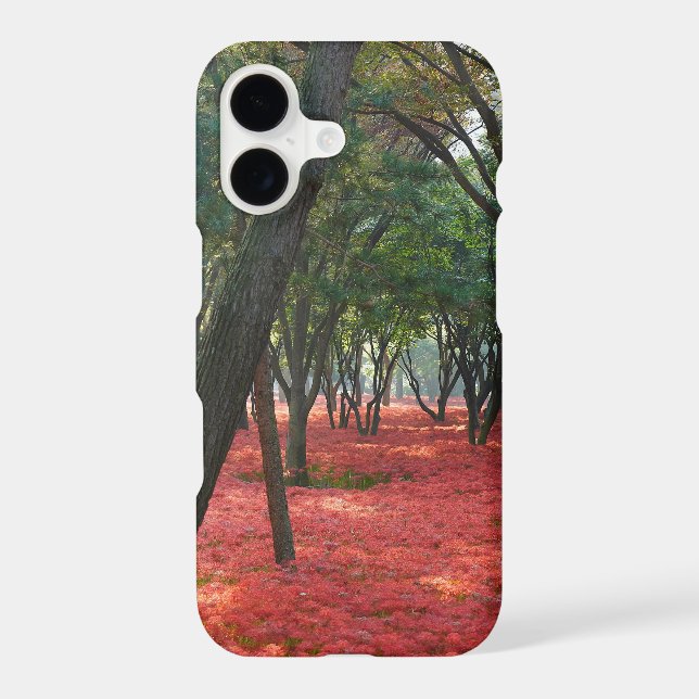 Fields of Flowers Forest (Back)