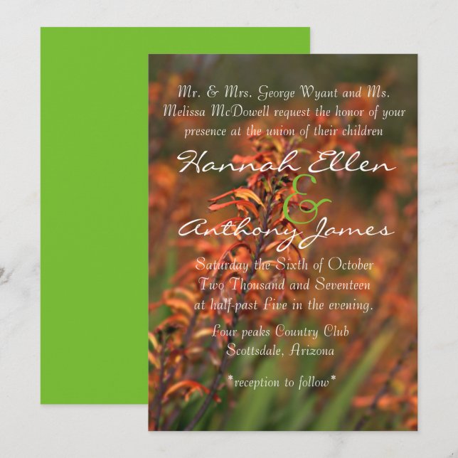 Fields of  glowing orange Agave invite (Front/Back)