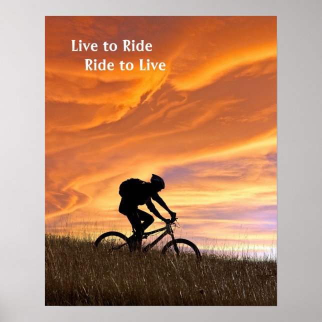 Fields of gold poster (Front)