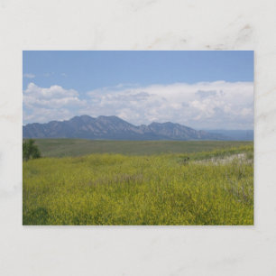 Fields of Green and Gold Postcard