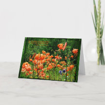 Fields of Lilies