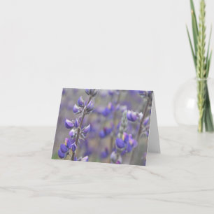 Fields of Purple Greeting Card