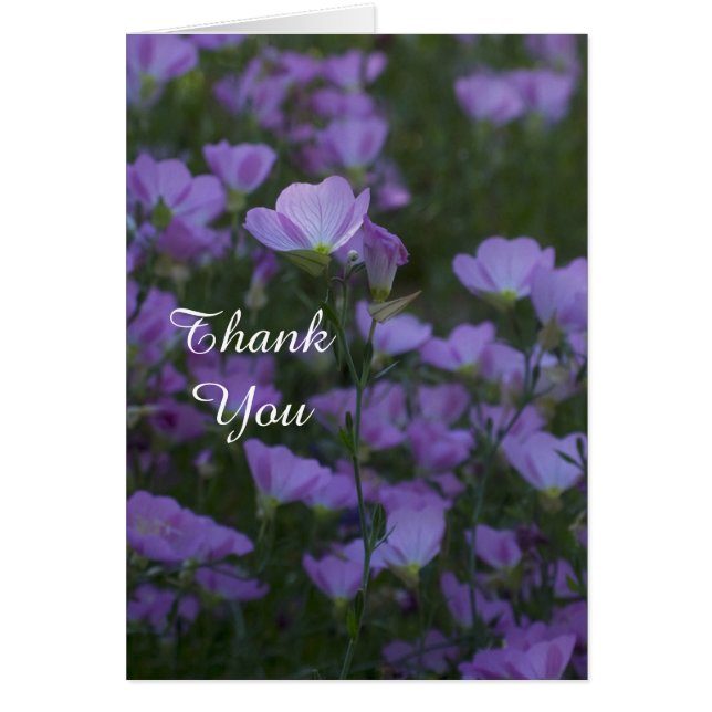 Fields of Purple Thank you (Front)