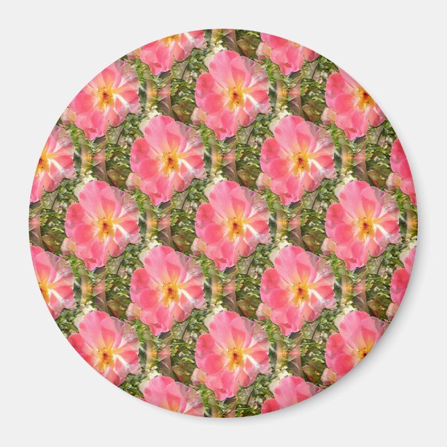 Fields of Roses.... Magnet (Front)