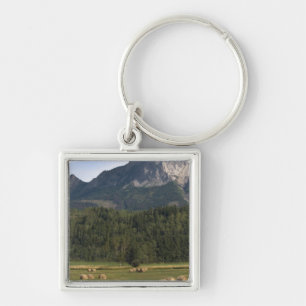 Fields with bailed hay, Alberta, Canada Key Ring