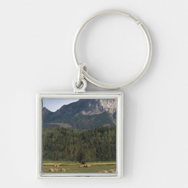 Fields with bailed hay, Alberta, Canada Key Ring (Front)