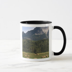 Fields with bailed hay, Alberta, Canada Mug