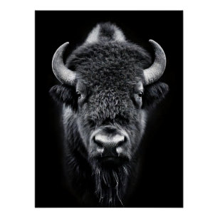 Fierce Black & White Bison Fine Art Photography Poster