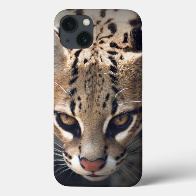Fierce iPad Case (Back)