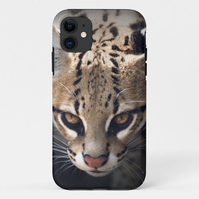 Fierce iPhone 5 Case (Back)