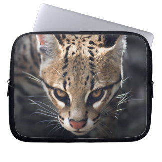Fierce Laptop Sleeve