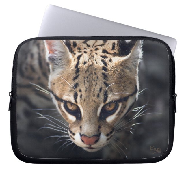Fierce Laptop Sleeve (Front)