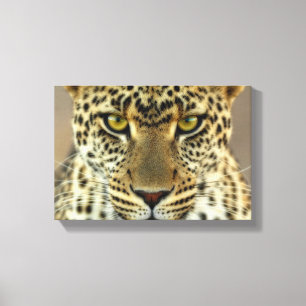 Fierce Leopard Canvas Print