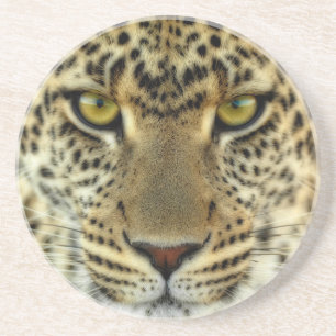 Fierce Leopard Coaster