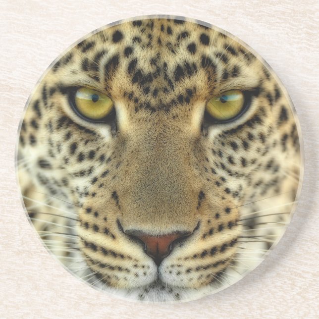 Fierce Leopard Coaster (Front)