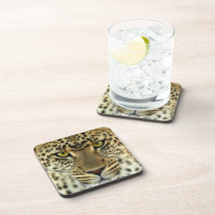 Fierce Leopard Coaster
