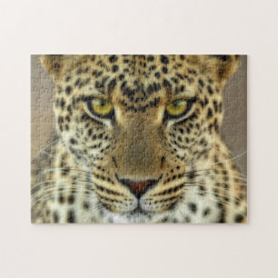 Fierce Leopard Jigsaw Puzzle