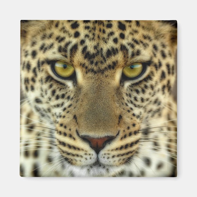 Fierce Leopard Magnet (Front)