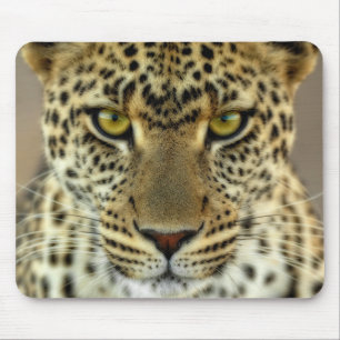 Fierce Leopard Mouse Mat