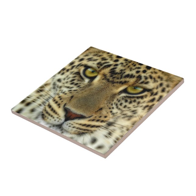 Fierce Leopard Tile (Side)