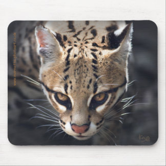 Fierce Mousemat