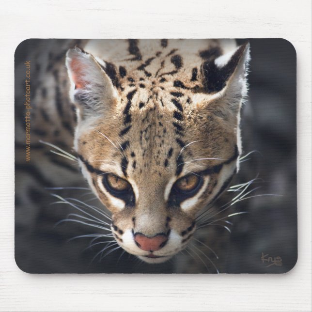 Fierce Mousemat (Front)