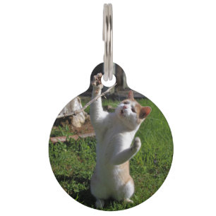 Fierce Predator Pet Tag