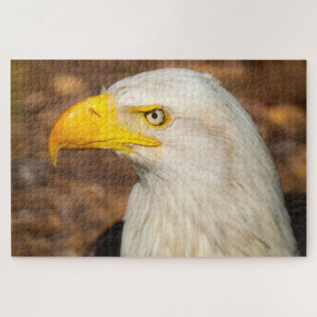 Fierce Stare of the Eagle Challenging Jigsaw Puzzle (Horizontal)