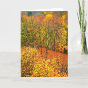 'Fiery Autumn' Blank Greeting Card