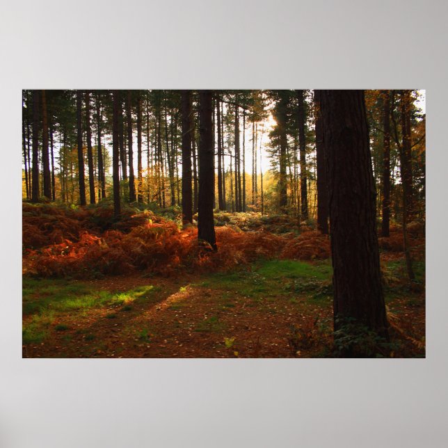 Fiery Bracken Print (Front)