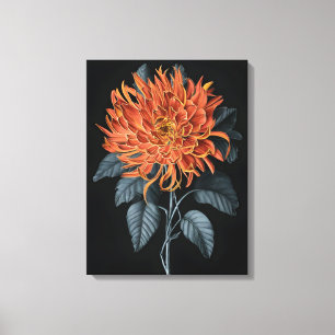 Fiery Elegance: Orange Chrysanthemum Canvas Print