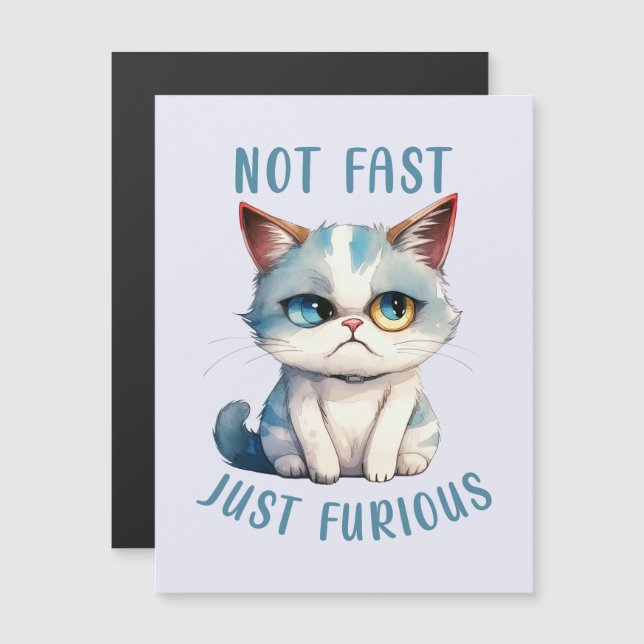 Fiery Feline Spirit – Sassy Angry Cat Design (Front/Back)