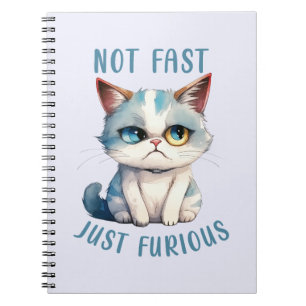 Fiery Feline Spirit – Sassy Angry Cat Design Notebook