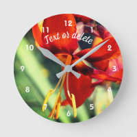 Fiery Orange Daylily Flower Personalized 