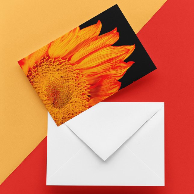 Fiery Orange Sunflower Blank Inside  (Sunny Greetings Notecard: Brighten any day with this vibrant orange sunflower notecard.)