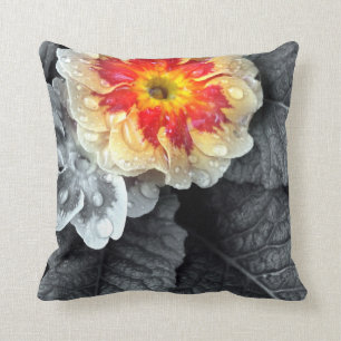 Fiery Primrose Photograph Cushion