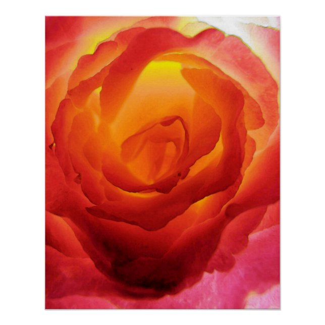 Fiery Red and Yellow Bicolor Rose Watercolor Poster (Front)
